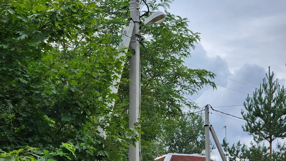 Фото: МедиаБанк Подмосковья/Валерий Гореловский