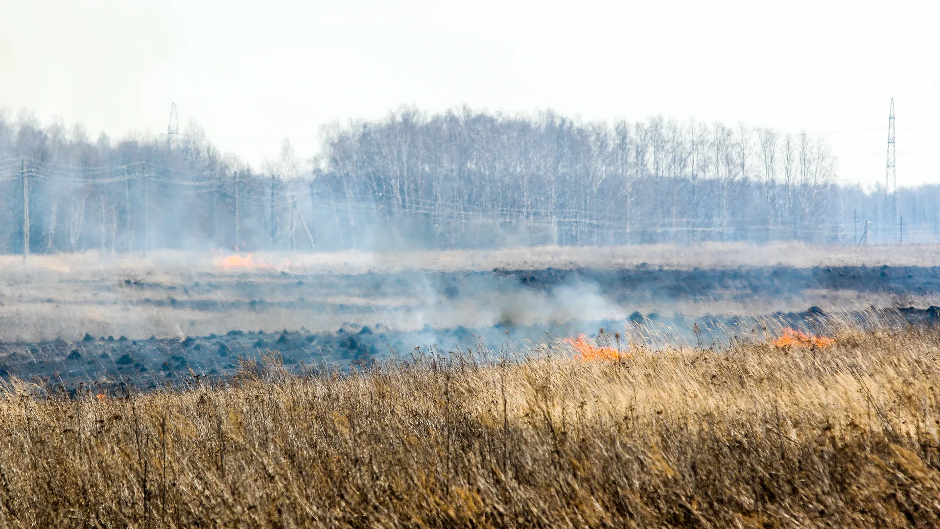 Пресс-служба администрации г.о. Кашира