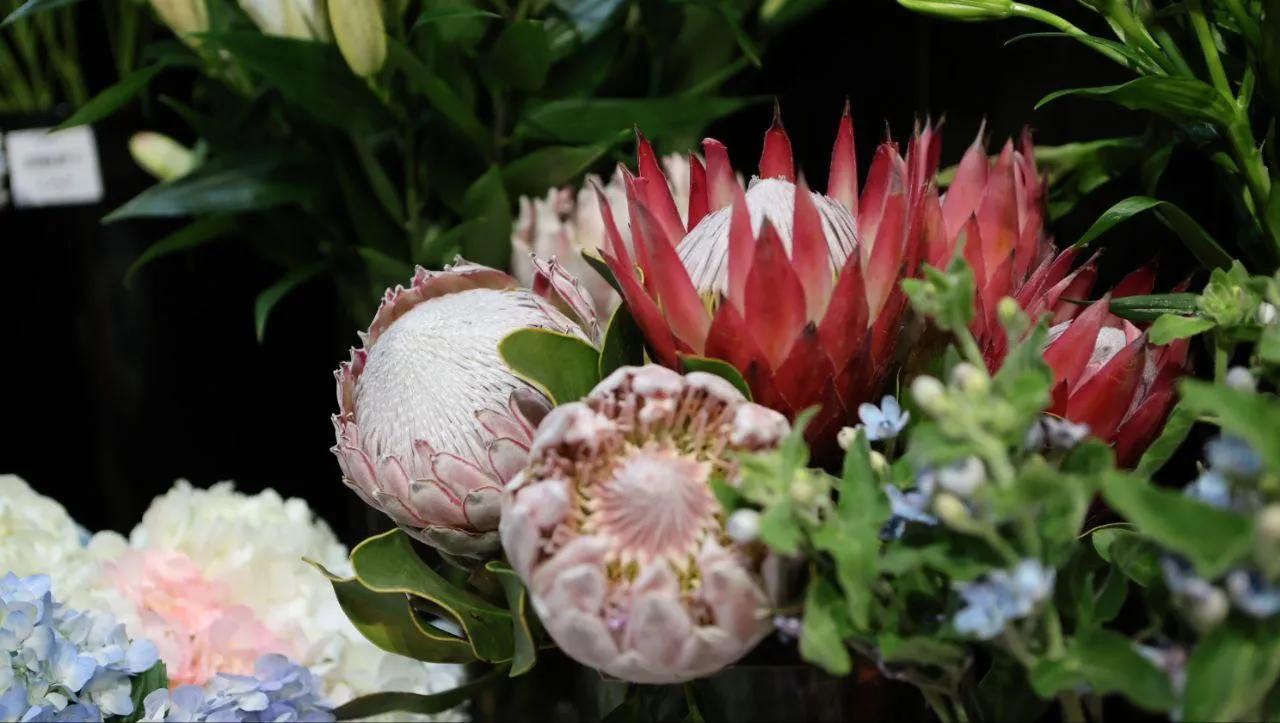 REGIONS/Роман Малышенко