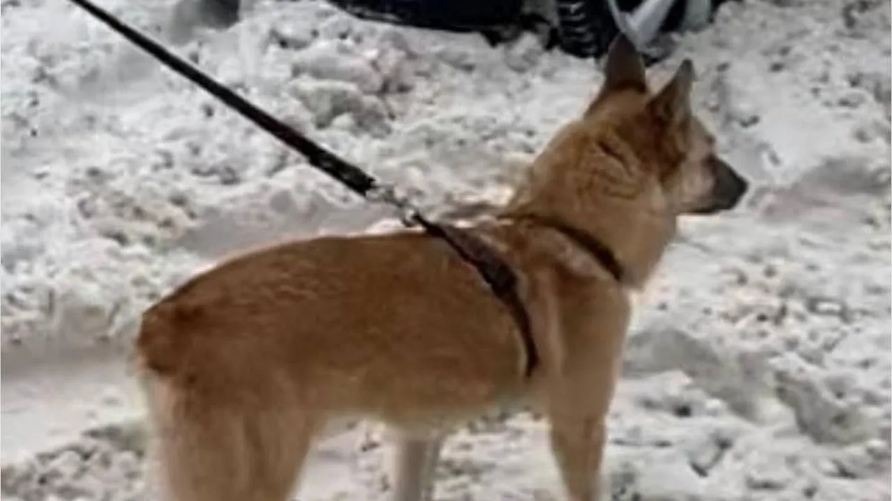 личный архив Оксаны Пановой