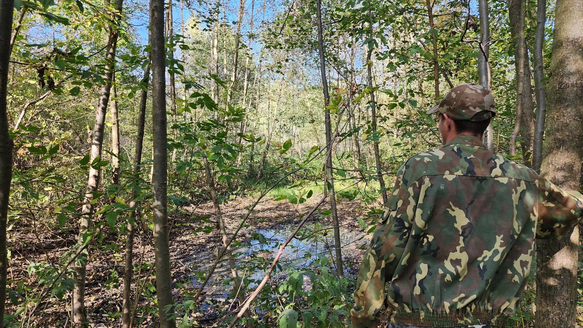 Александр Степушкин