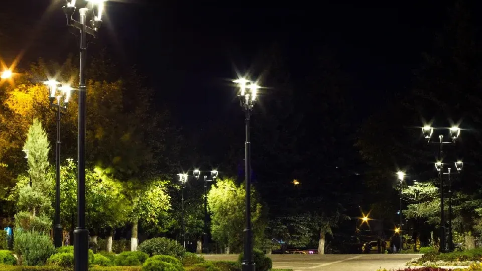 Фото: Министерство благоустройства Московской области