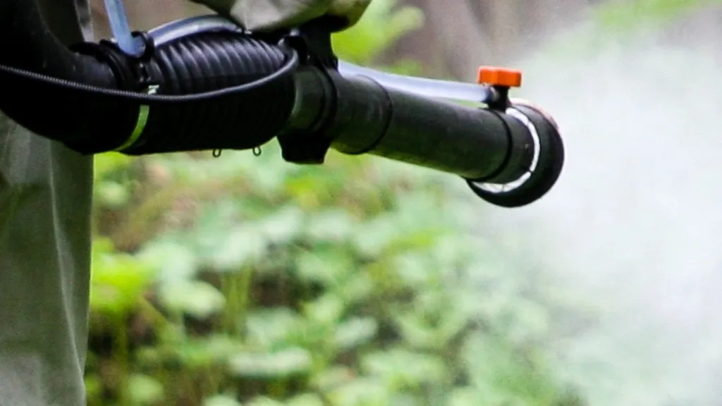 Владимир Лебедев