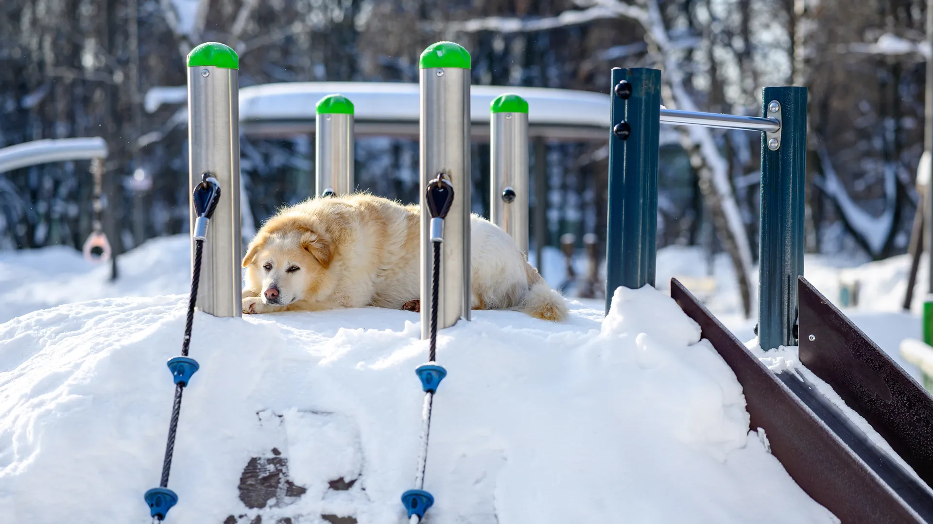 медиасток.рф