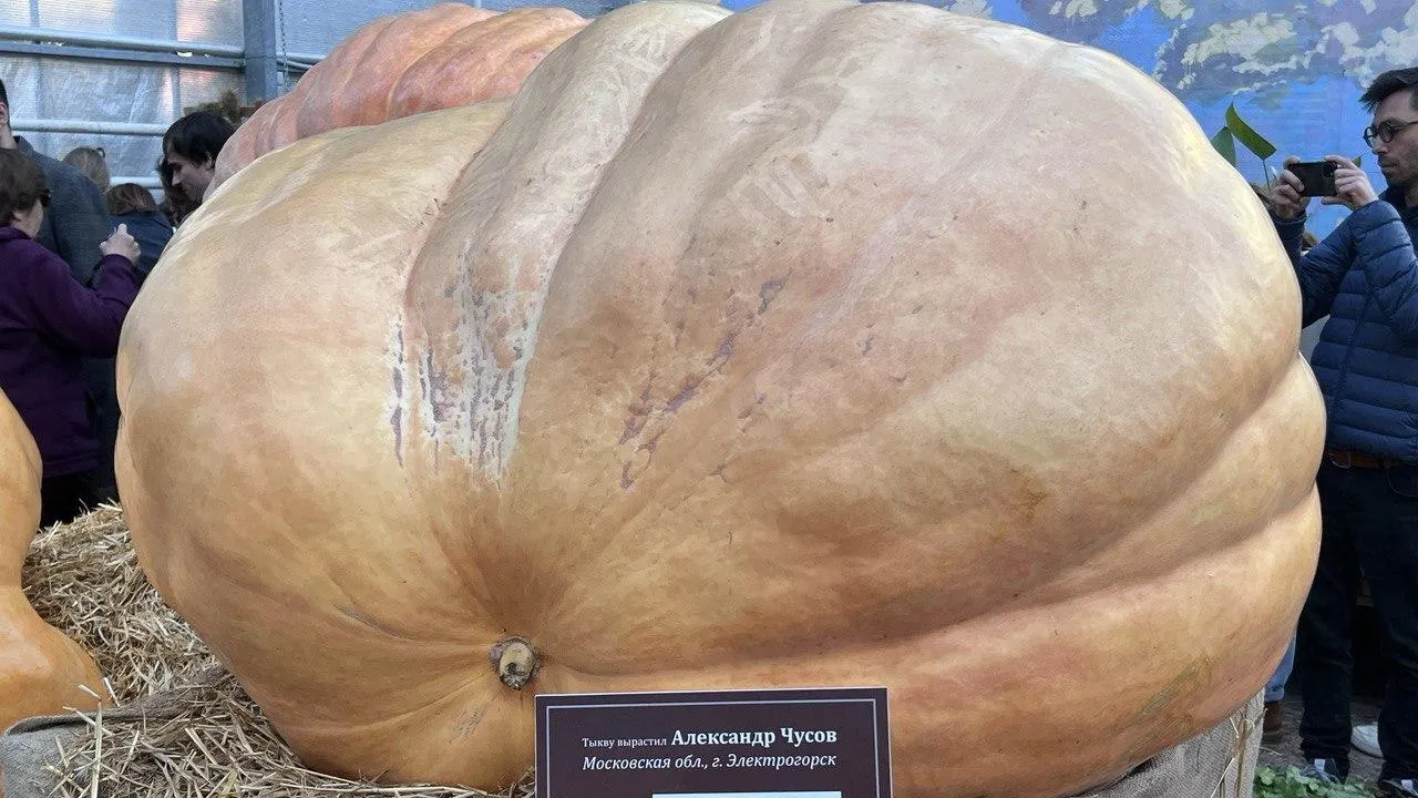 фото: Валех Илчиев