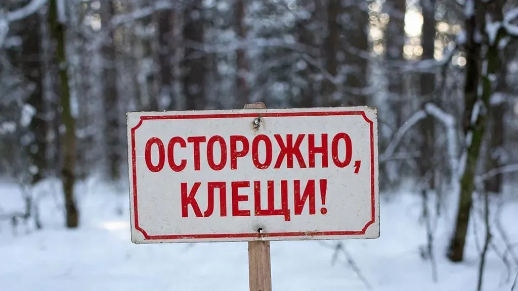 REGIONS/Сгенерировано нейросетью