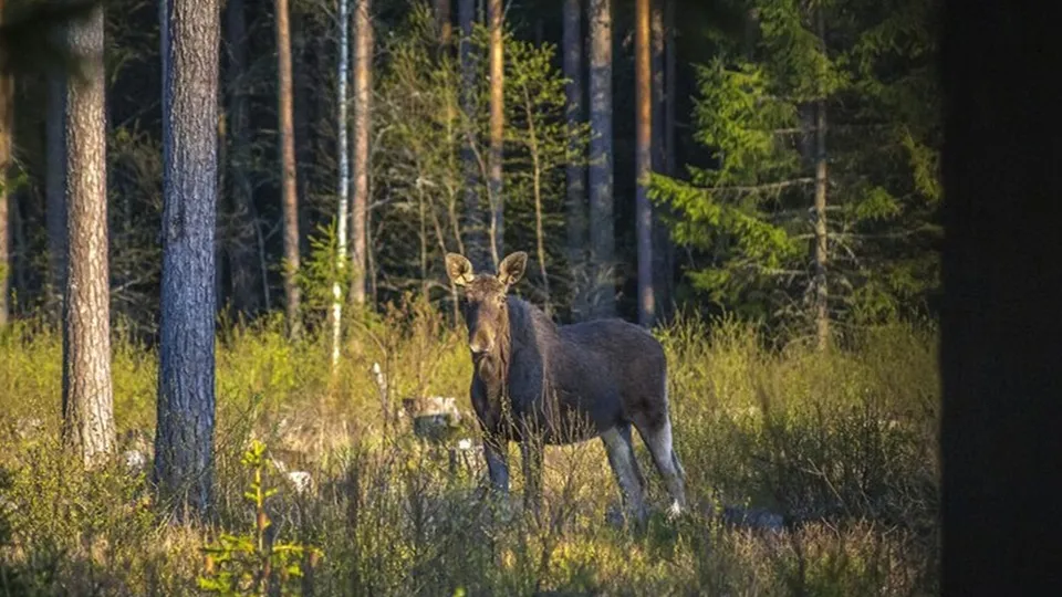 Фото: ru.freepik.com