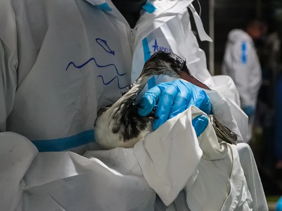 Фото: Владислав Пивоваров