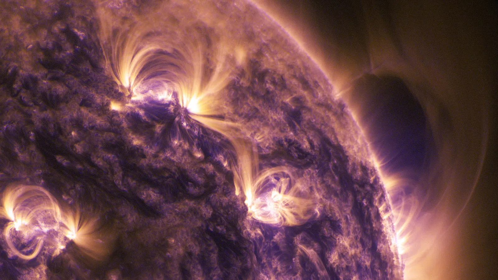 Фото: pxhere.com