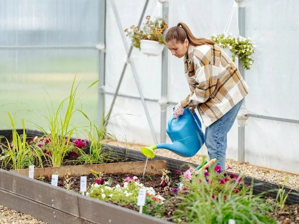 Фото: пресс-служба Министерства чистых дел Подмосковья