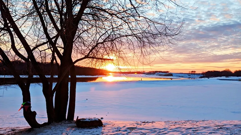 Фото: REGIONS/Алексей Селиверстов