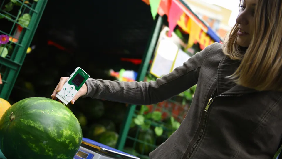 Фото: Медиаархив Подмосковья