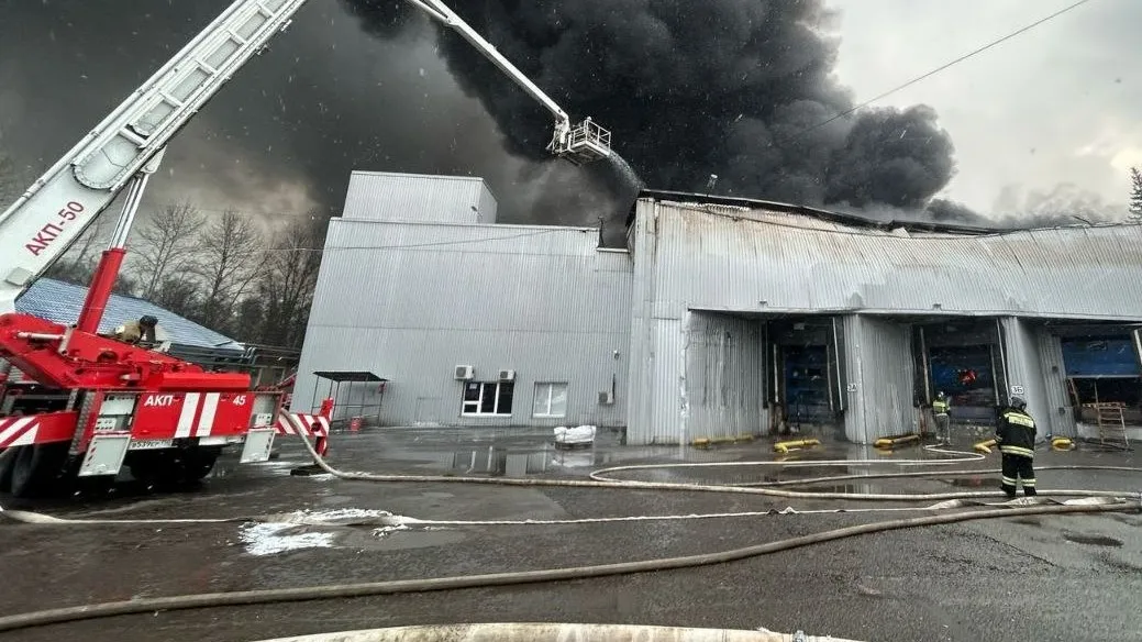Фото: прокуратура Московской области