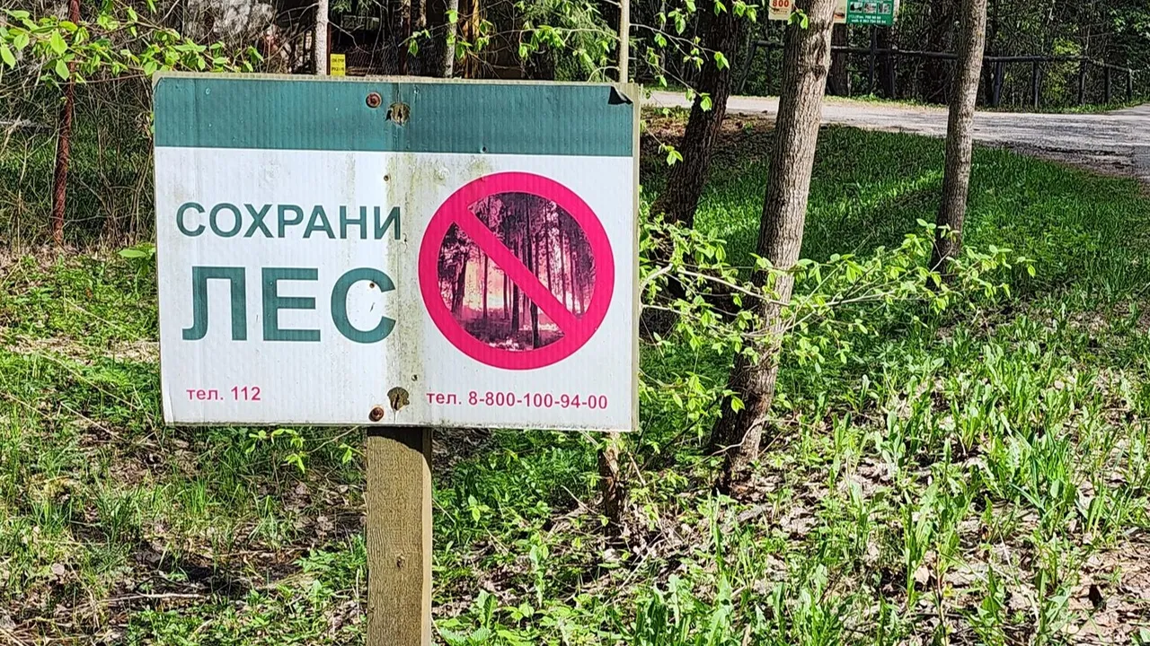 Фото: Ксения Пашуто