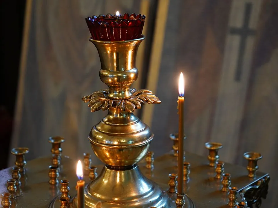 Фото: REGIONS/Анна Быкова&nbsp;