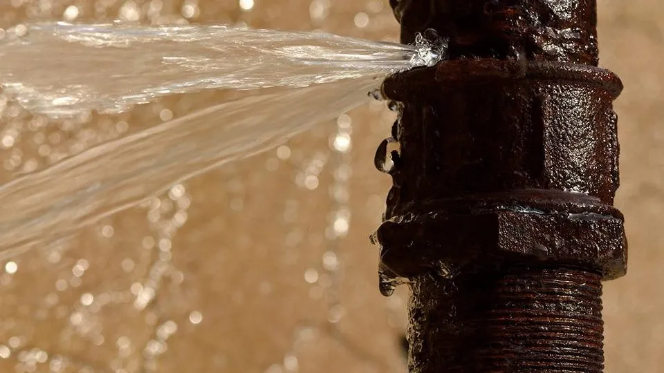 Фото: istockphoto.com/Ian_Redding