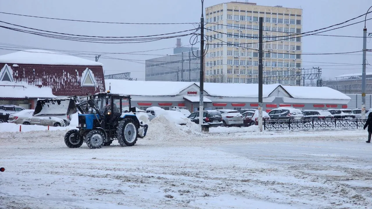 REGIONS/Мария Шигорева