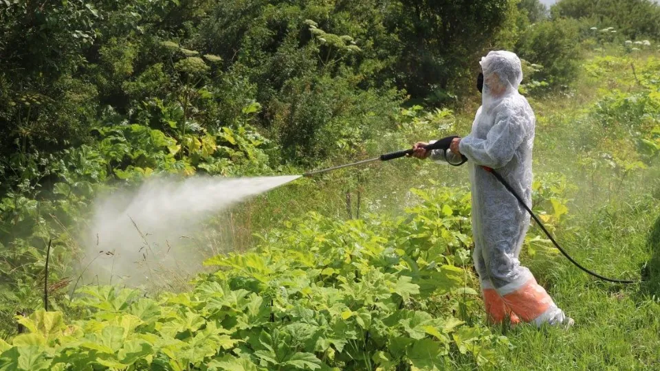 Фото: Министерство транспорта и дорожной инфраструктуры МО