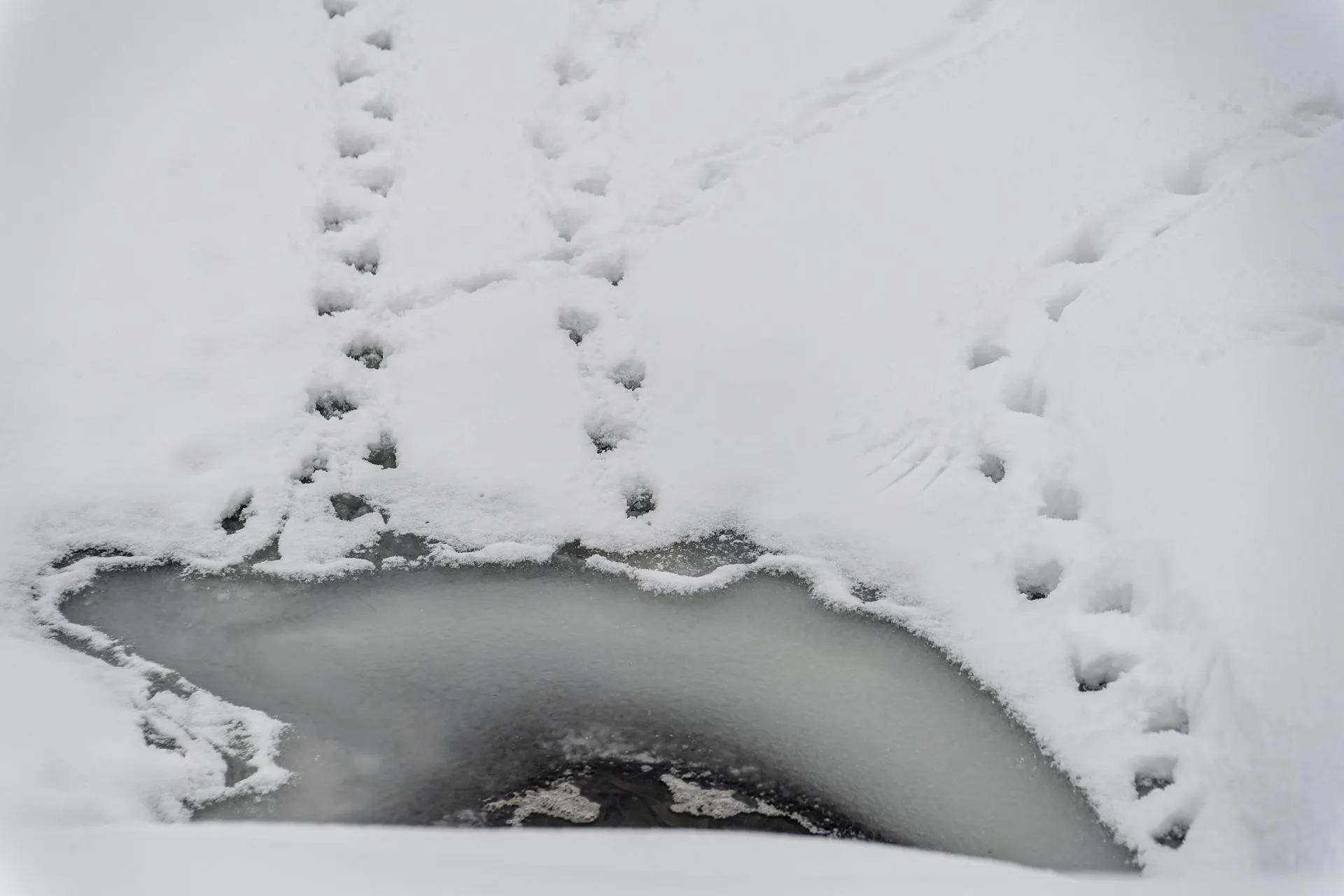 Komsomolskaya Pravda/Global Look Press