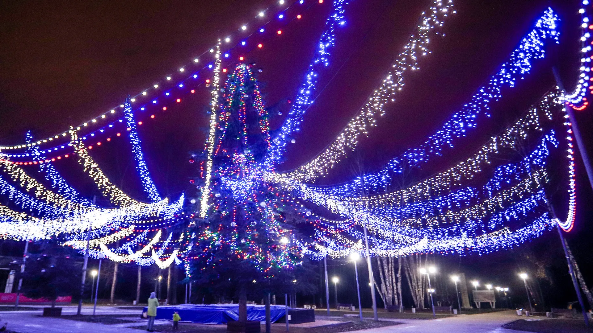 Фото: пресс-служба администрации г.о. Кашира