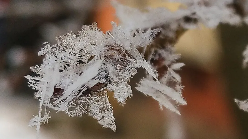 Фото: Антон Кондратюк