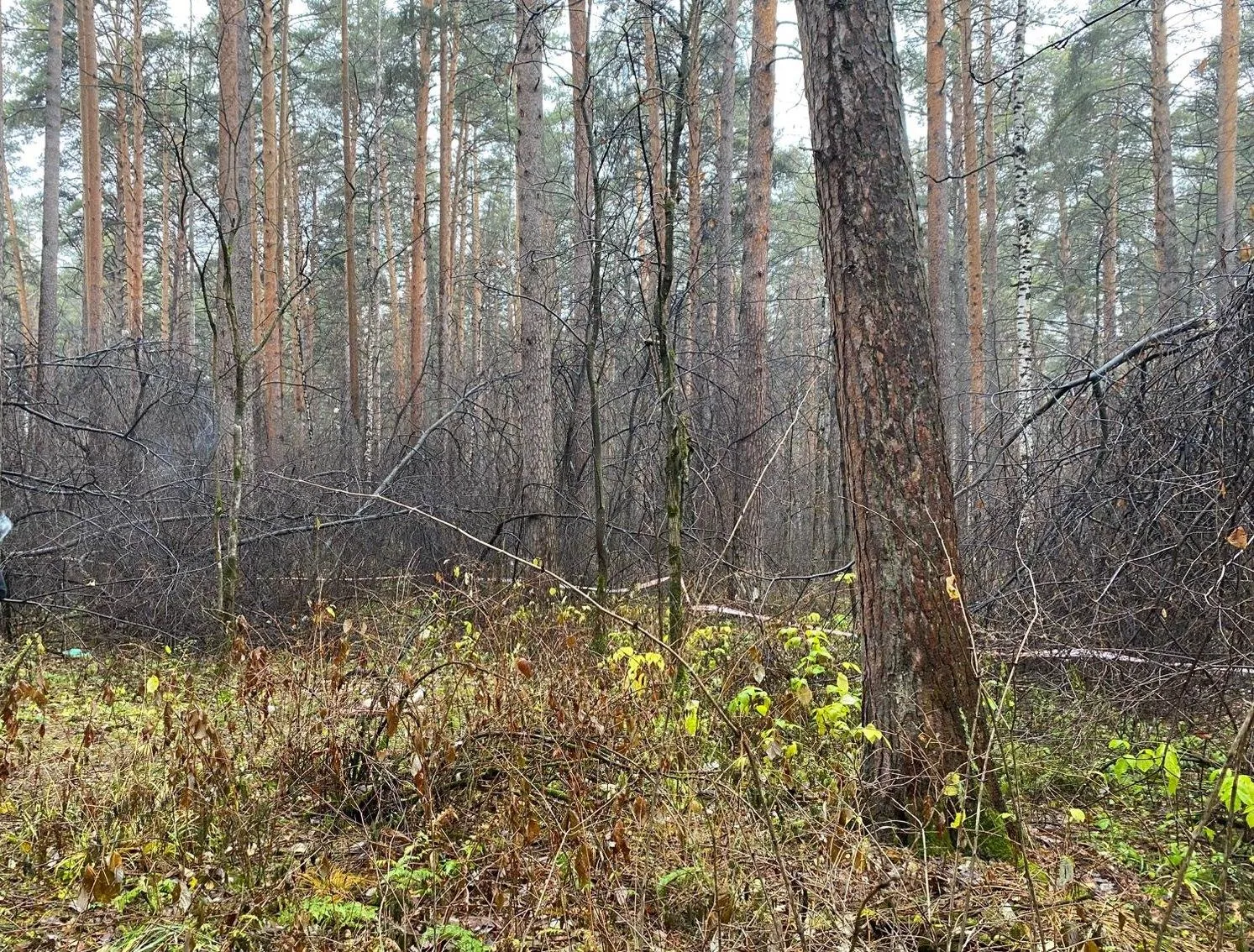 СУ СК России по Свердловской области
