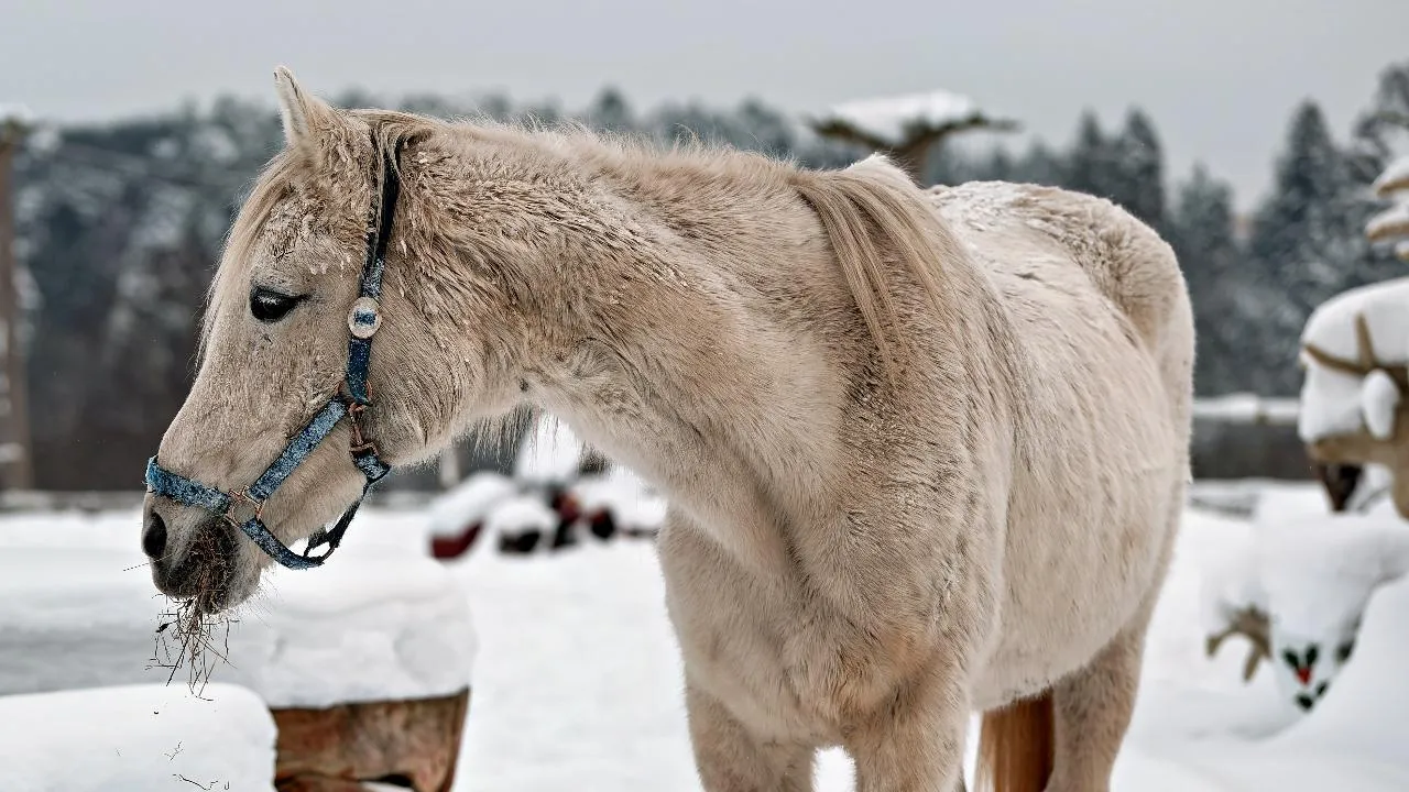 медиасток.рф