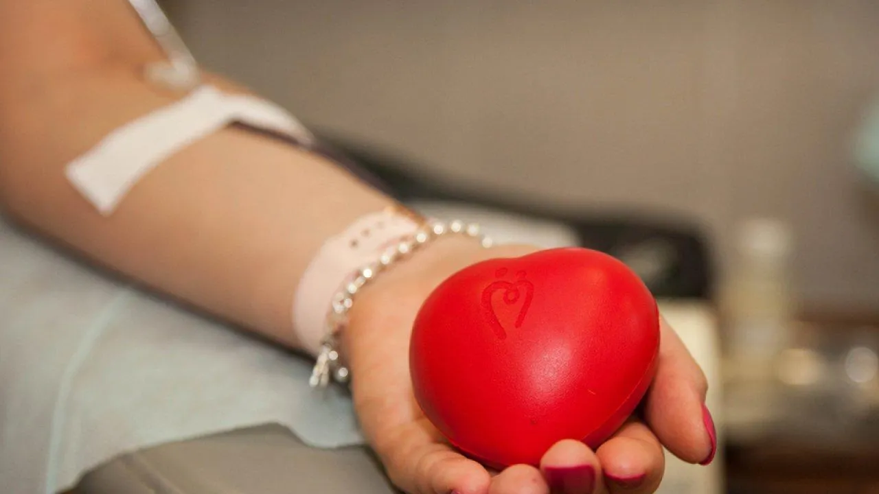 REGIONS/Анна Лобанова