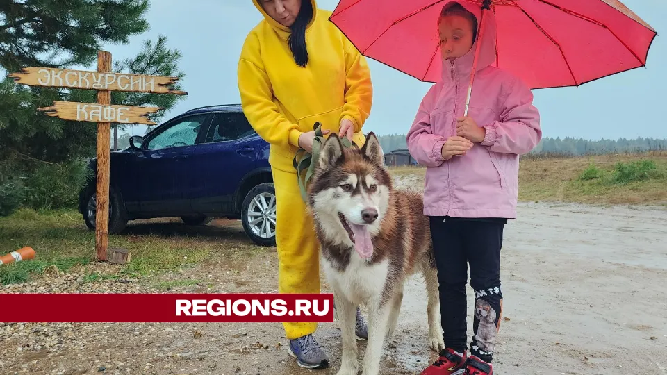 Фото: Екатерина Данилина