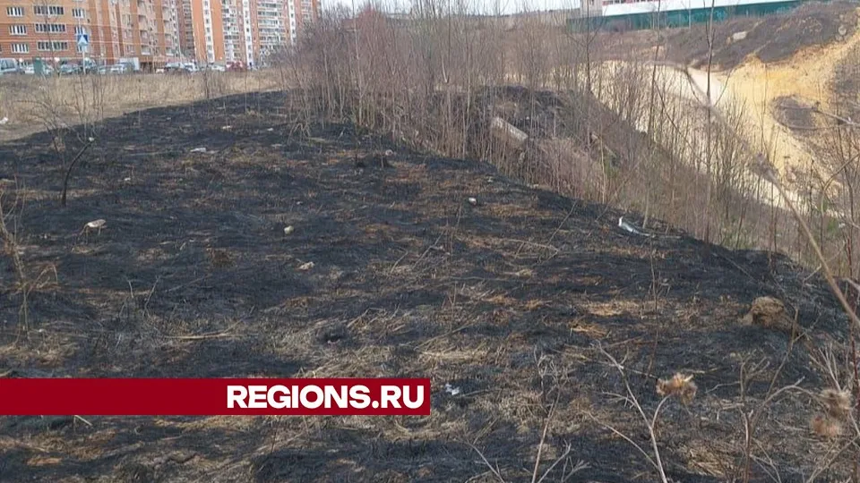 Фото: пресс-служба администрации городского округа Котельники