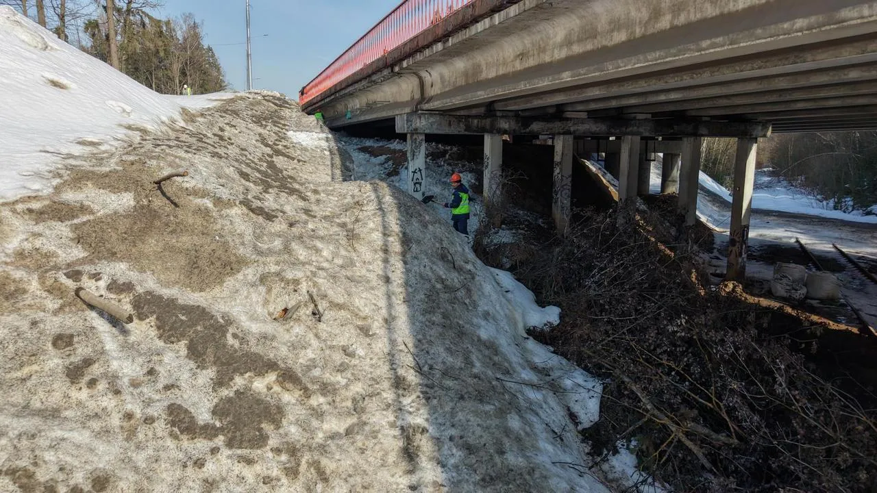 В.А. Симакова