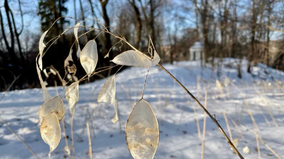 Фото: музей-заповедник «Горки Ленинские»