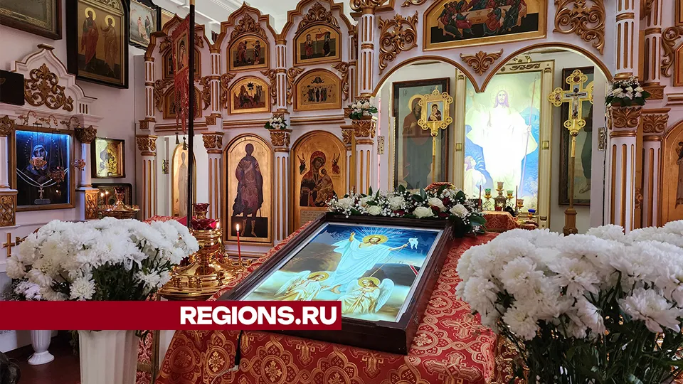 Фото: REGIONS/Роман Савельев