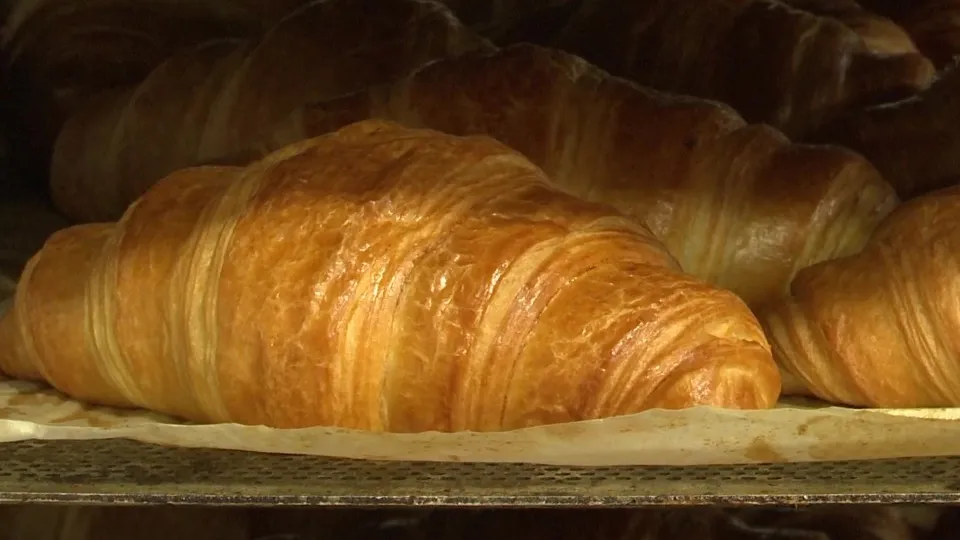 Фото: МедиаБанк Подмосковья/Ксения Казакова