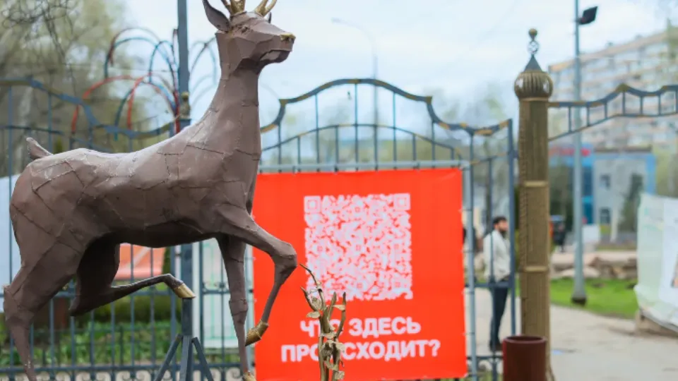 Фото: медиасток.рф