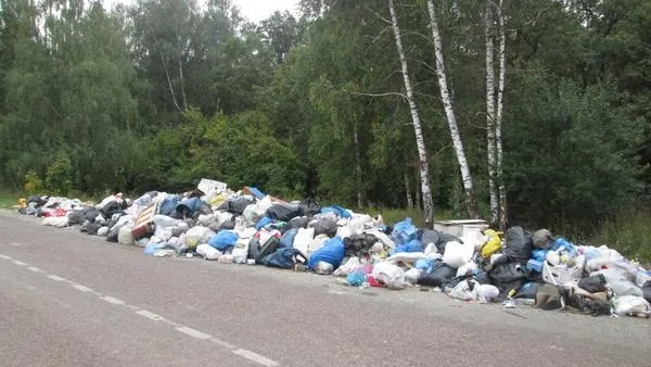 Дачную свалку в 40 кубометров ликвидировали в Зарайском районе