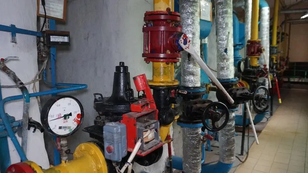 Фото: Администрация г.о. Руза