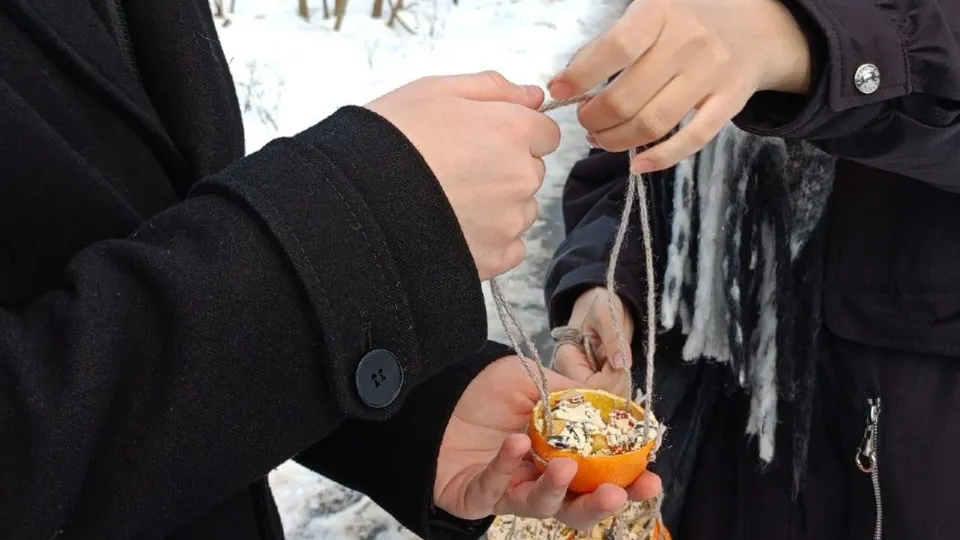 Фото: Администрация городского округа Солнечногорск