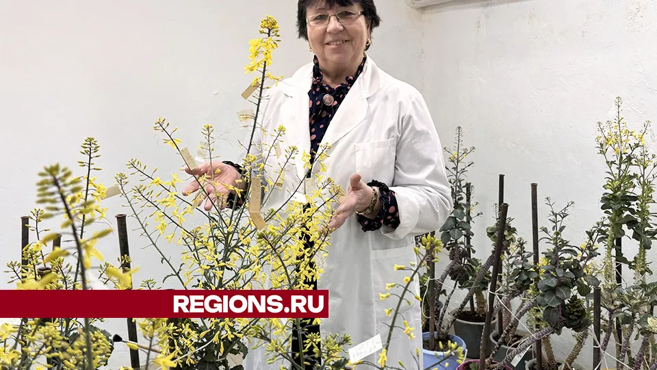 Фото: Мария Шматкова