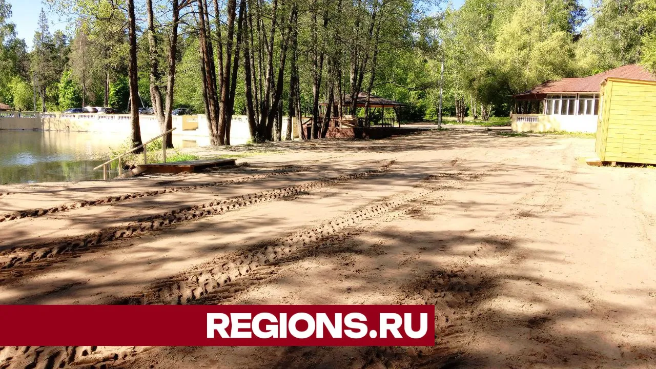 Фото: Василий Тремасов