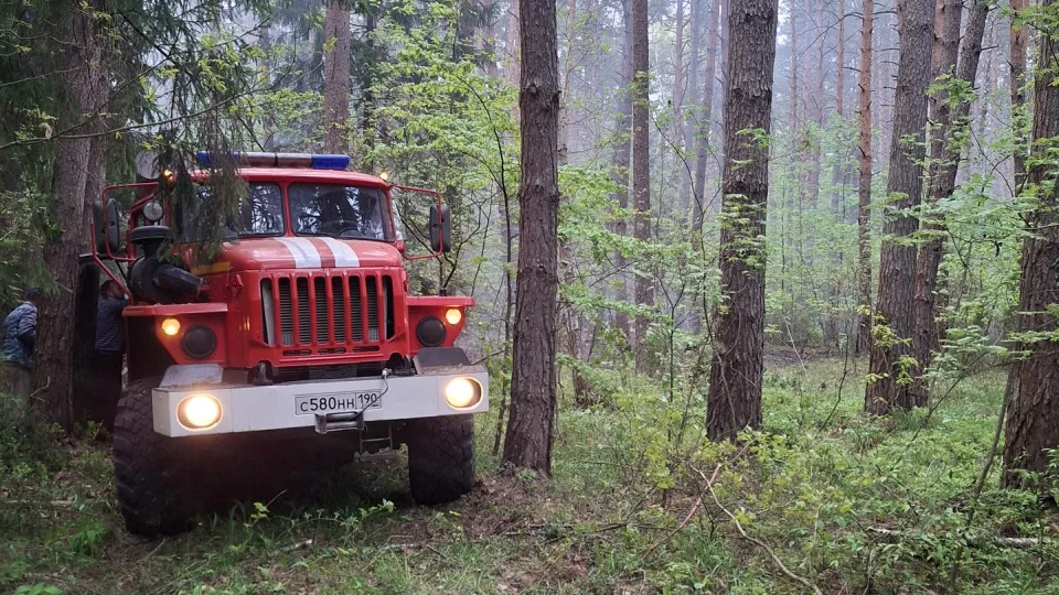 Комитет лесного хозяйства Московской области