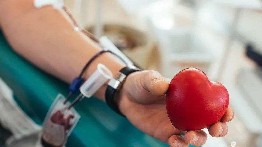 Министерство социального развития Московской области