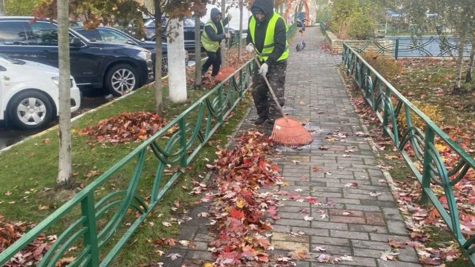 Фото: МКУ ТУ «Островецкое»