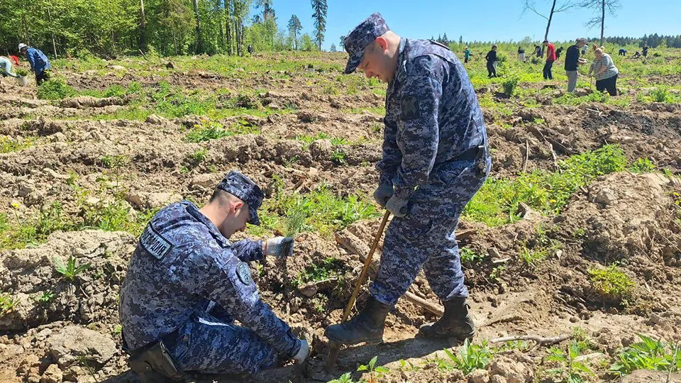 Росгвардия