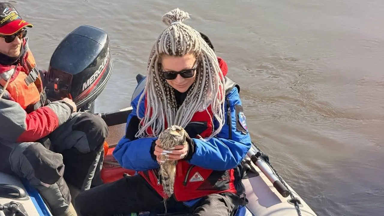 АНО Водолазная группа «ДобротворецЪ»