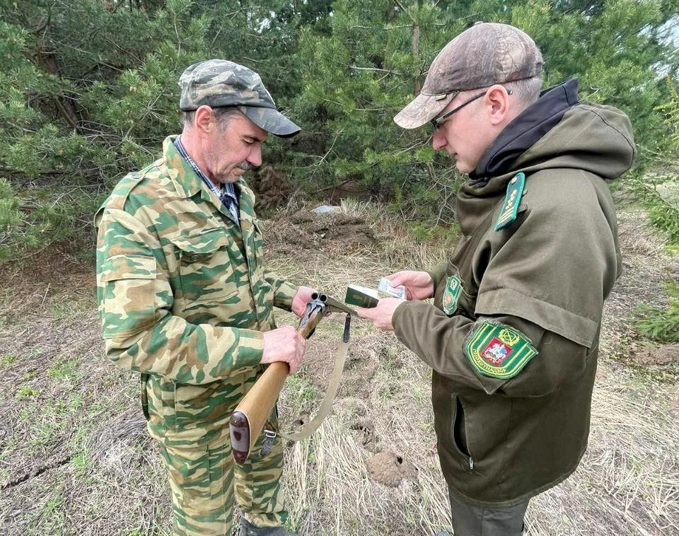 Источник фото: министерство экологии и природопользования Московской области