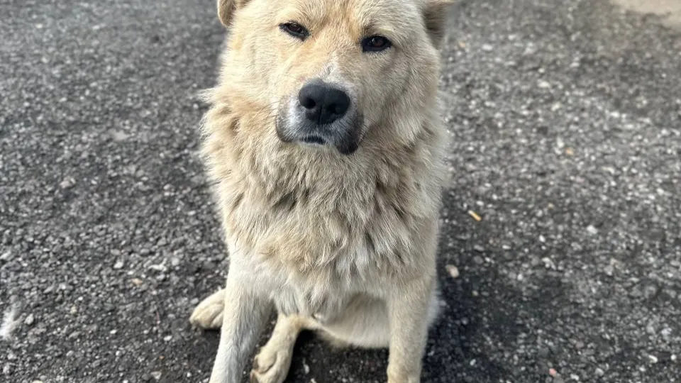 Фото: Анна Амелина