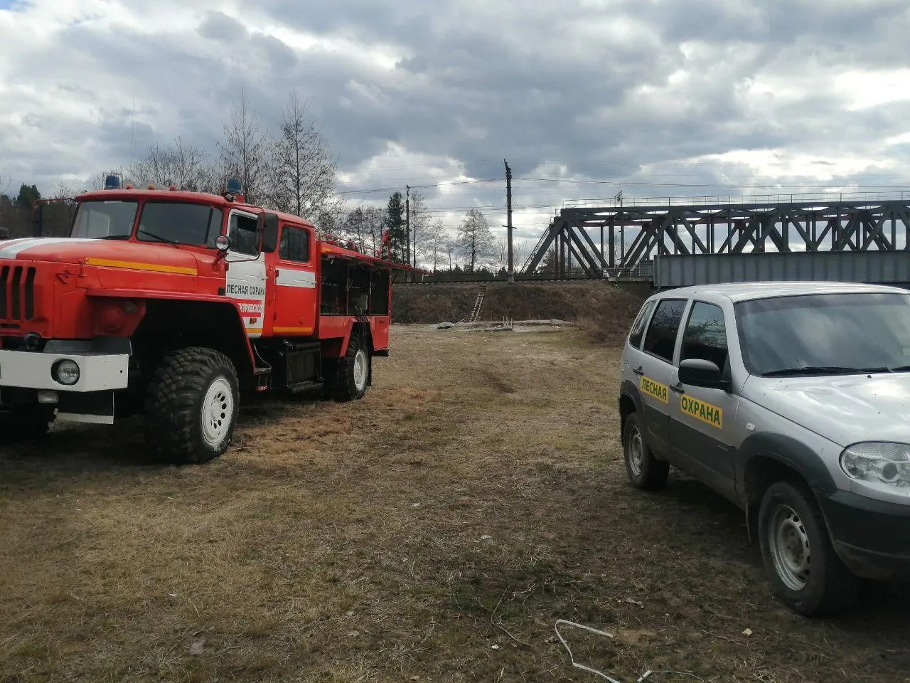 Фото: Комлесхоз Московской области
