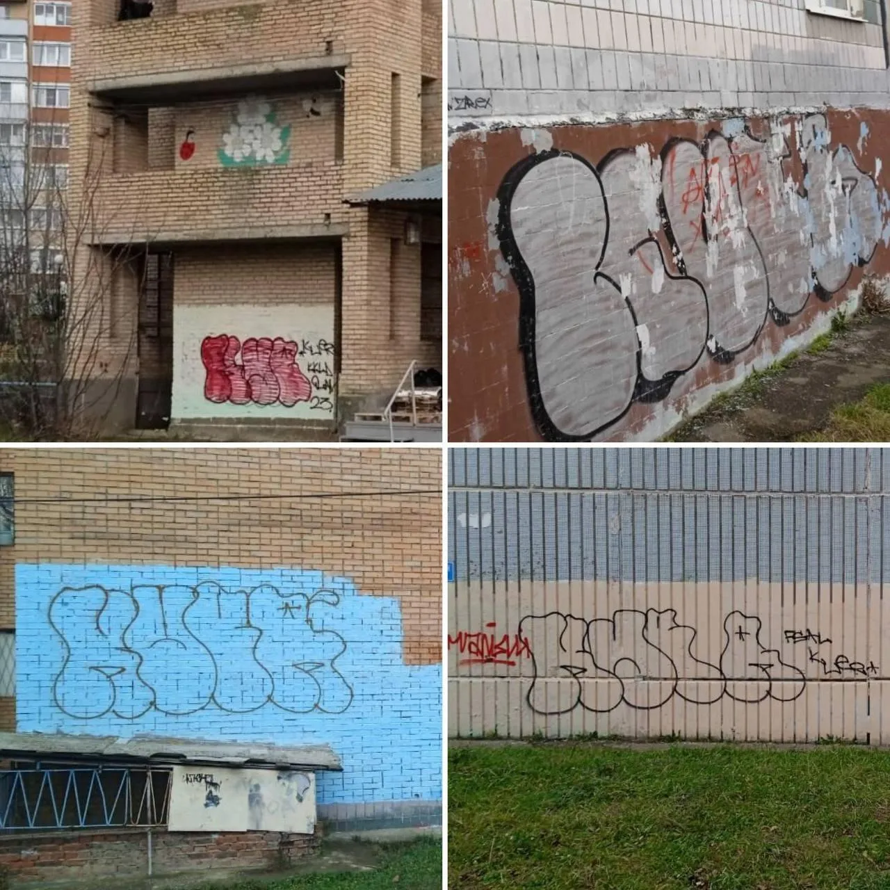 Фото: Администрация городского округа Истра / ВКонтакте