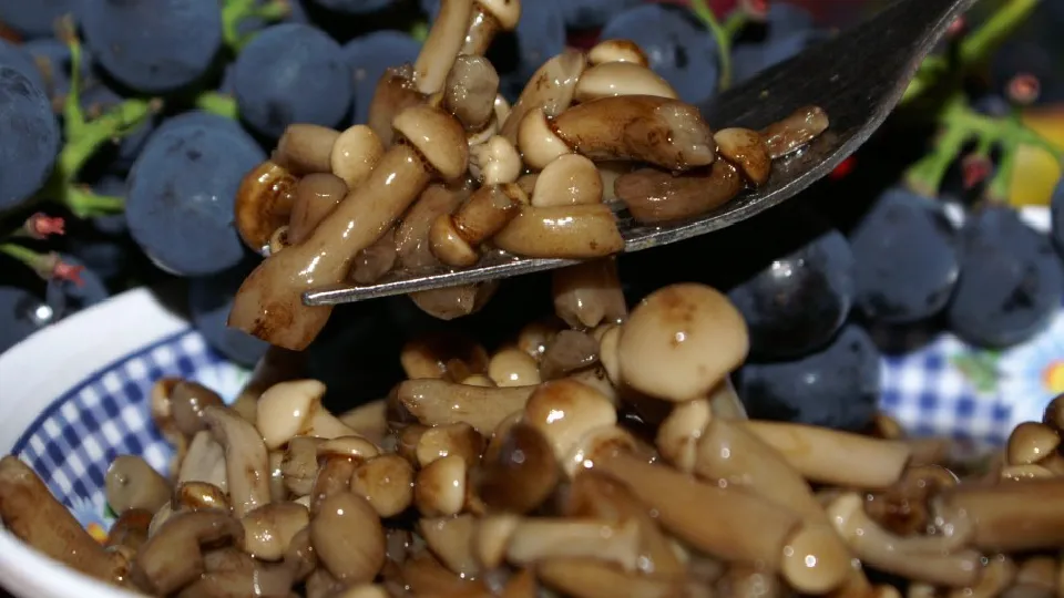 Фото: pxhere.com